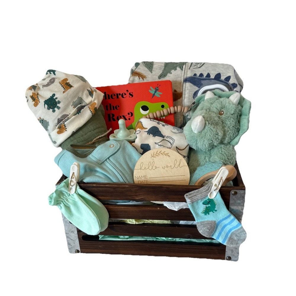 Dinosaur Baby Shower Gift Crate, Newborn Present-Dino Books Clothes Lovey & More